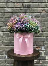 Цветочная композиция из Гипсофила и Розы в шляпной коробке #REPLACE_PRED# Раевской