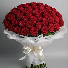 Букет 101 Красная роза Блэк Мэджик в Раевской