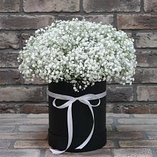 Цветочная композиция из Гипсофила в шляпной коробке в Раевской