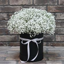 Цветочная композиция из Гипсофила в шляпной коробке в Раевской