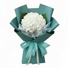 Букет цветов из:  Гортензия в Раевской
